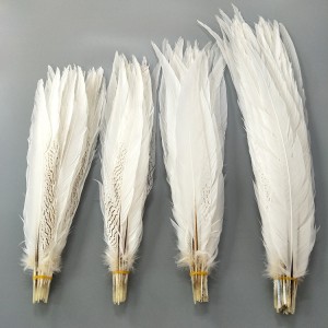 Short & Long Silver Pheasant Feathers Stunning black & white pheasant feathers