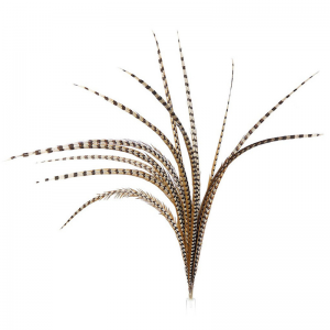 Long Lady Amherst Pheasant Feather Tails