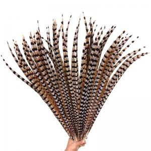 Long Lady Amherst Pheasant Feather Tails