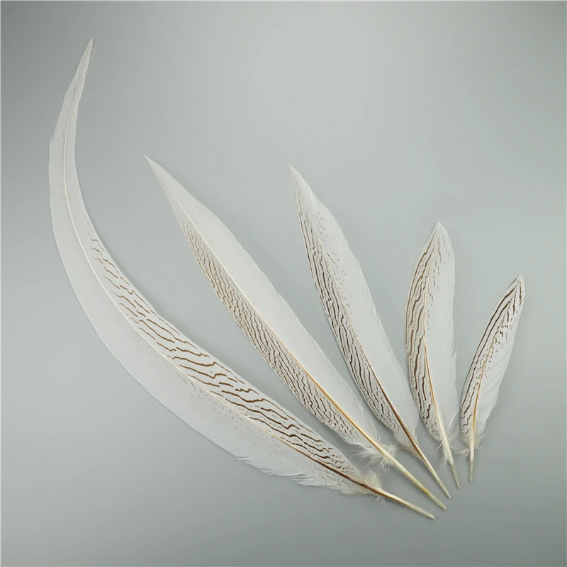 Short & Long Silver Pheasant Feathers Stunning black & white pheasant feathers